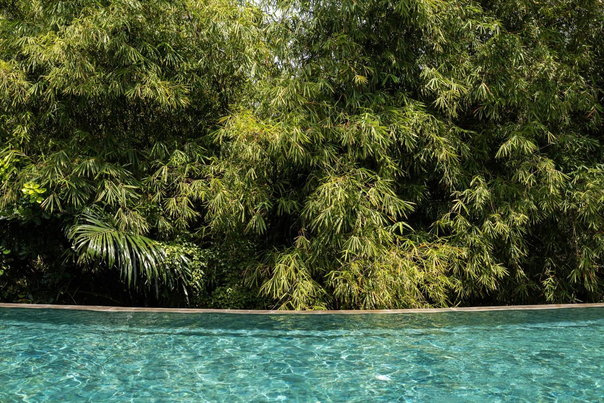 Theanna Villa And Spa Canggu Dış mekan fotoğraf